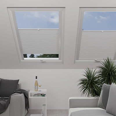 Image: MTMO75301-skylight.png