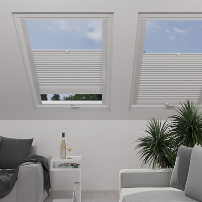 Image: MTMOBO275301-skylight.png