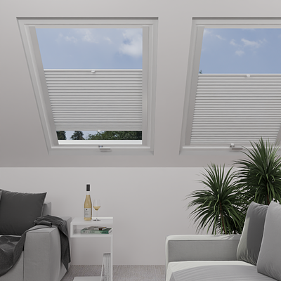 Image: Opal 1500-skylight.png