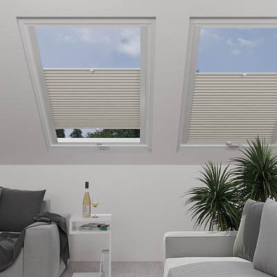 Image: MTMOBO275311-skylight.png