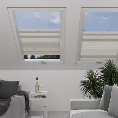 Image: MT1218-skylight.png