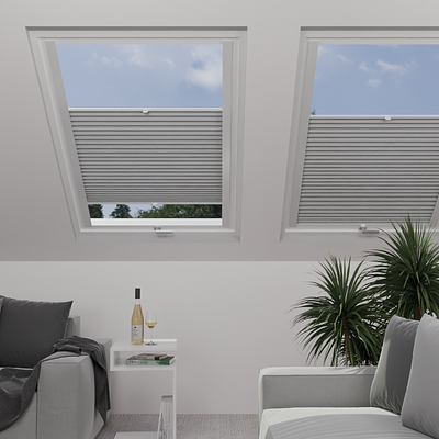 Image: MT1213-skylight.png