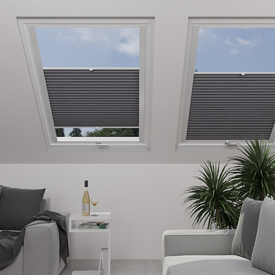 Image: MT1217-skylight.png