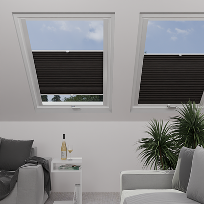 Image: MT1216-skylight.png