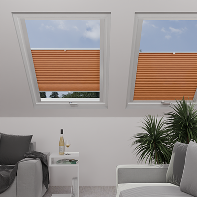 Image: MT1204-skylight.png