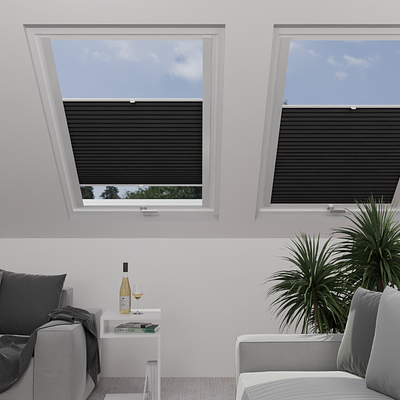 Image: MT1215-skylight.png