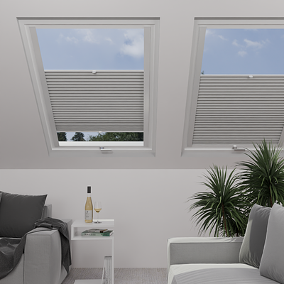 Image: MT1263-skylight.png