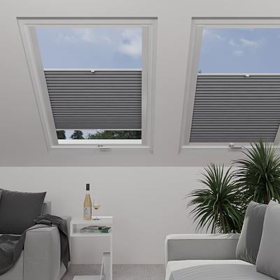 Image: MT1293-skylight.png