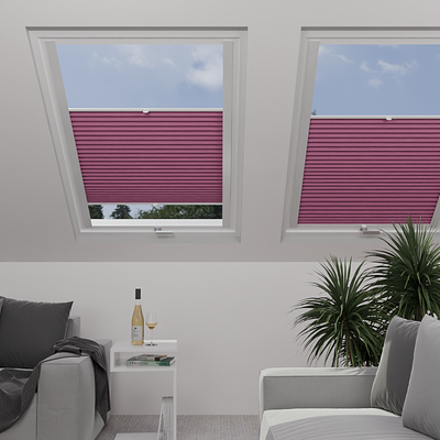 Image: MT1285-skylight.png