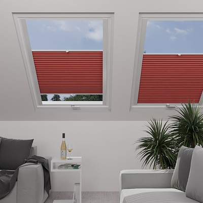 Image: MT1286-skylight.png