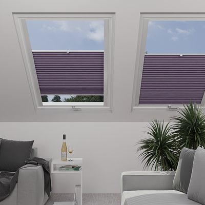 Image: MT1284-skylight.png