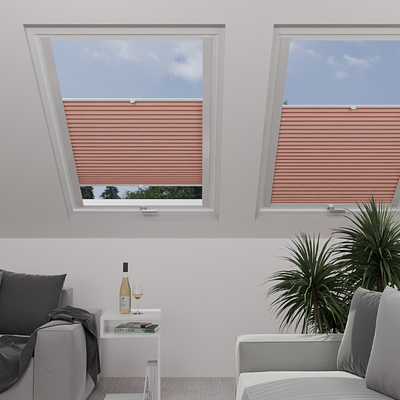 Image: MT1287-skylight.png