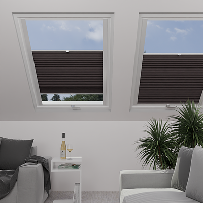 Image: MT1266-skylight.png