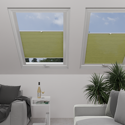Image: MTP27-skylight.png