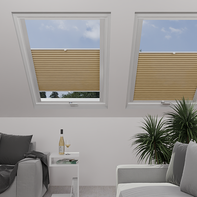 Image: MTP05-skylight.png