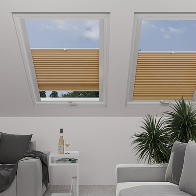 Image: MTP23-skylight.png