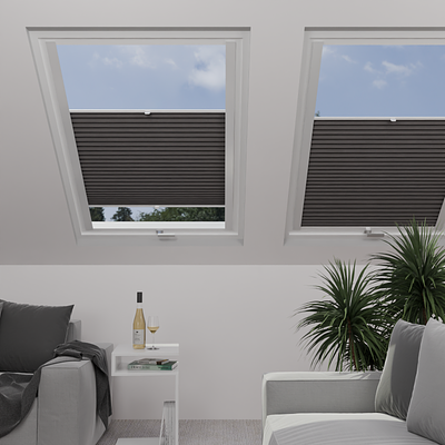 Image: MTP04-skylight.png