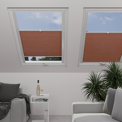 Image: MTP18-skylight.png