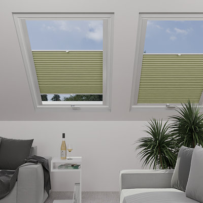 Image: MTCP228-skylight.png