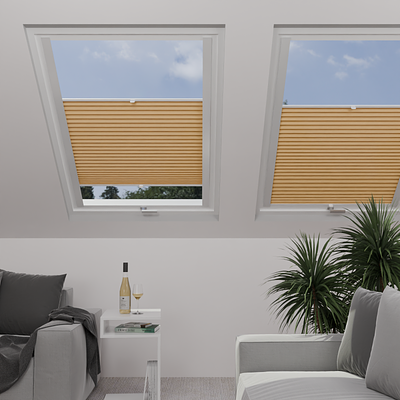 Image: MTCP223-skylight.png