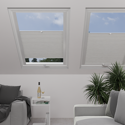 Image: MTCP220-skylight.png