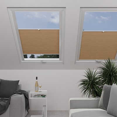 Image: MTCP207-skylight.png