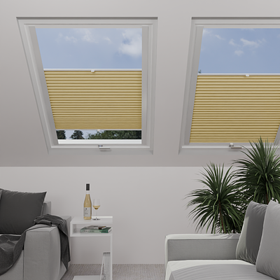 Image: MTCP209-skylight.png