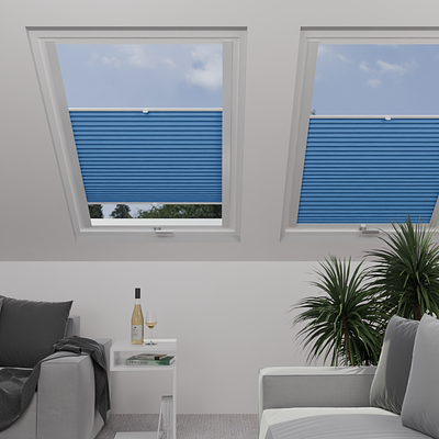 Image: MTCP216-skylight.png