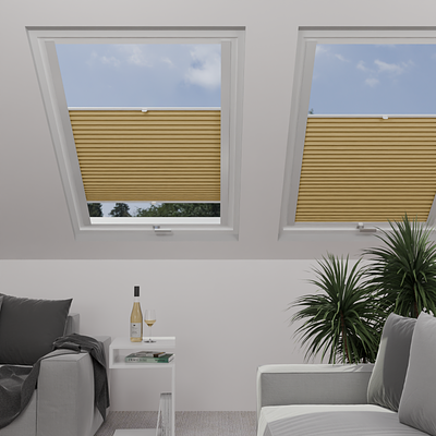 Image: MTCP219-skylight.png
