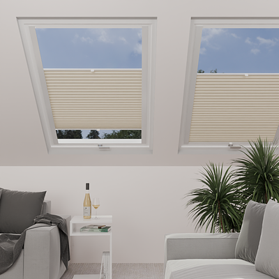 Image: MTMO75311-skylight.png