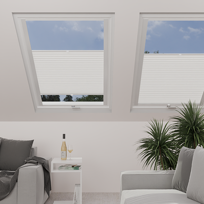 Image: MTMO75301-skylight.png