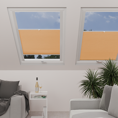 Image: MTP23-skylight.png