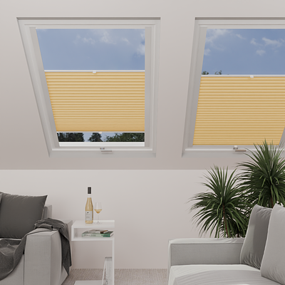 Image: MTCP209-skylight.png