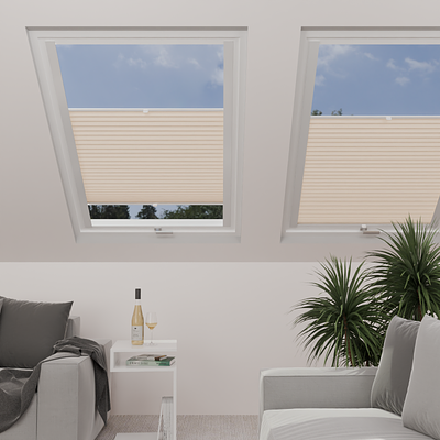 Image: MTCP206-skylight.png