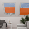 Image: MTCP224-skylight.png
