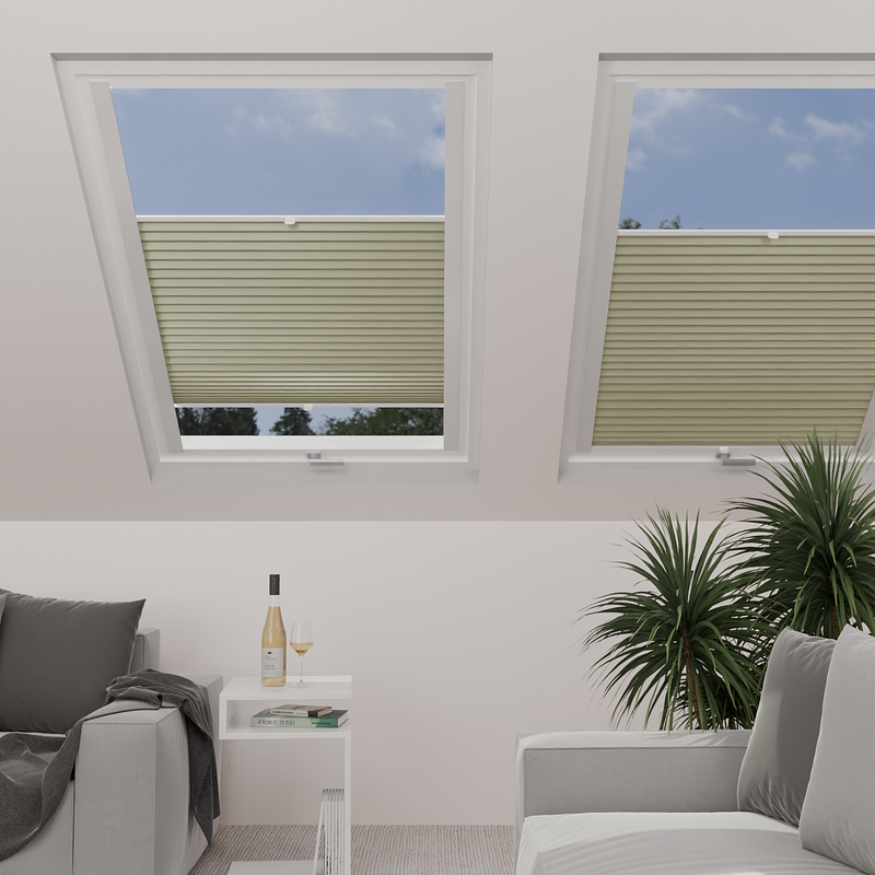Image: Opal  Pearl 1560-skylight.png