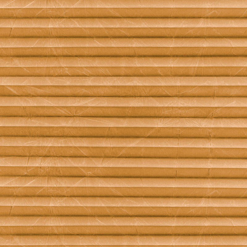 Image: MTCP222.jpg