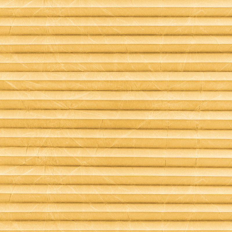 Image: MTCP223.jpg