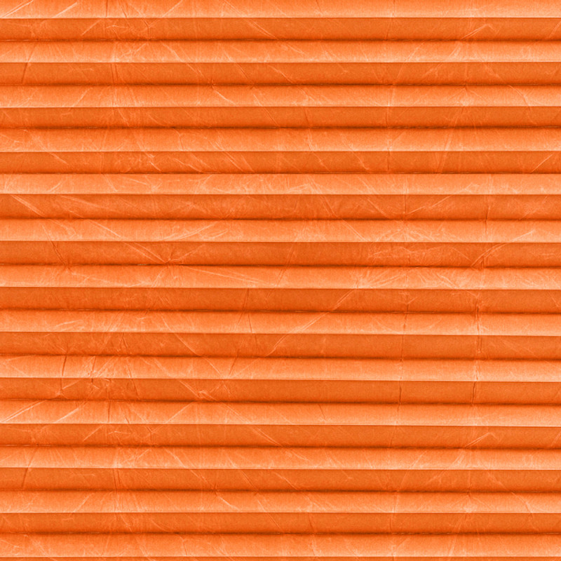 Image: MTCP224.jpg