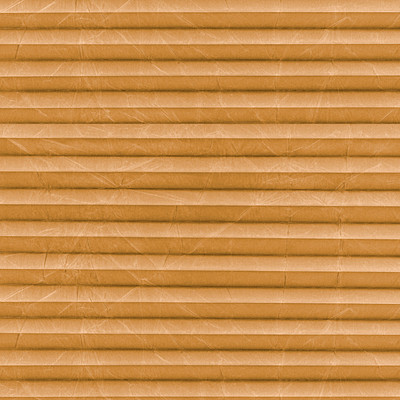Image: MTCP222.jpg