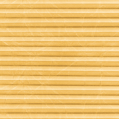 Image: MTCP223.jpg