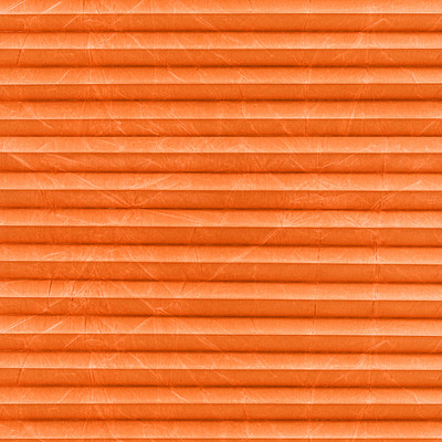 Image: MTCP224.jpg
