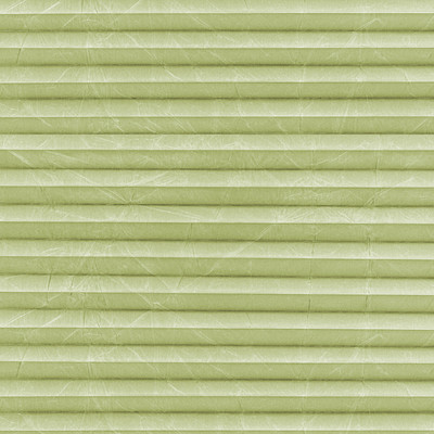 Image: MTCP228.jpg