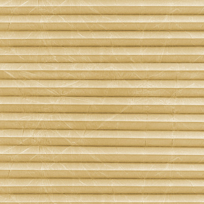 Image: MTCP205.jpg