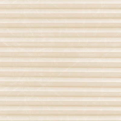 Image: MTCP206.jpg