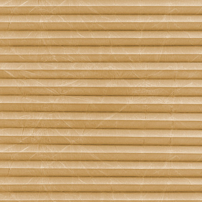 Image: MTCP207.jpg