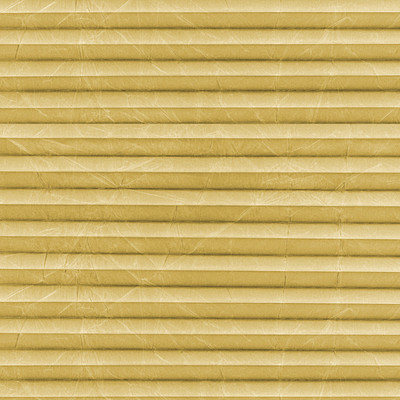 Image: MTCP219.jpg