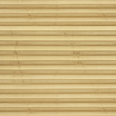 Image: MTP05.jpg