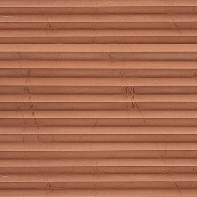 Image: MTP18.jpg