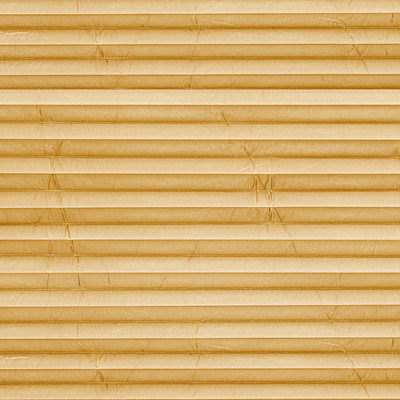 Image: MTP23.jpg